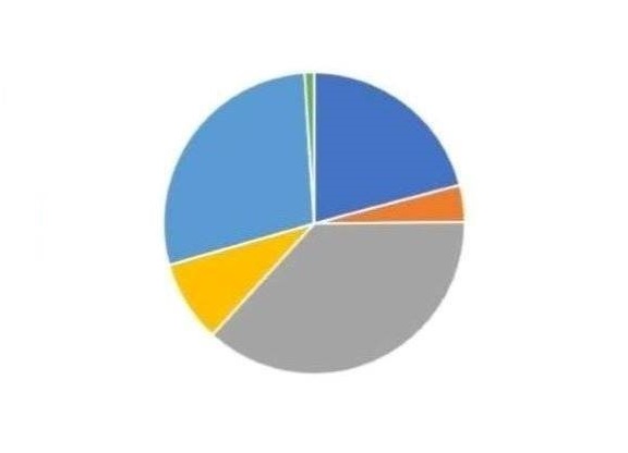 Pie Graph-with white space